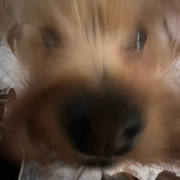 Meet your Posher, Rin - Picture 1 of 1